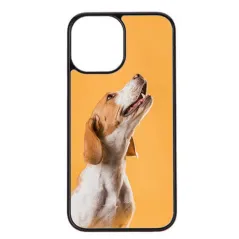 Carcasa para iPhone 12 Pro Max