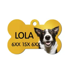 Chapas personalizadas para mascotas | Con nombre, teléfono y foto