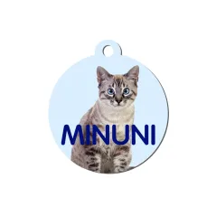Chapas personalizadas para mascotas | Con nombre, teléfono y foto
