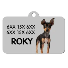 Chapa 2 caras personalizadas para mascotas | Con nombre, teléfono y foto