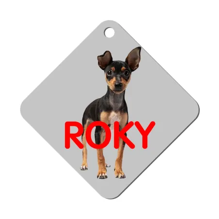 Chapa / Placa perro - 2 Caras - Rombo