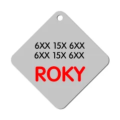 Chapa 2 caras personalizadas para mascotas | Con nombre, teléfono y foto