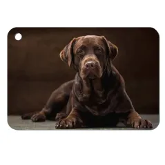 Chapa 2 caras personalizadas para mascotas | Con nombre, teléfono y foto