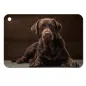 Chapa / Placa perro - 2 Caras - Rectangular