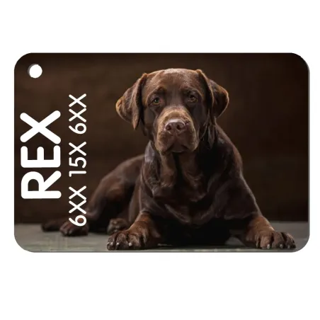 Chapa / Placa perro - 2 Caras - Rectangular