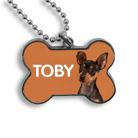 Collar identificación para perro