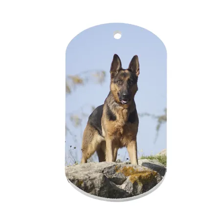 Placa PVC identificativa perro - 2 Caras