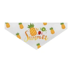 Collar para mascotas con bandana