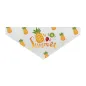 Collar para mascotas con bandana Collar para mascotas con bandana