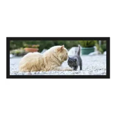 Felpudos para mascotas personalizados con fotos, nombres, logos, también conocidos como alfombrillas para cuencos.