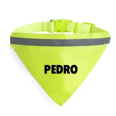 Collar alta visibilidad para mascotas