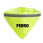 Collar alta visibilidad para mascotas