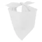 Pañuelo de cuello personalizado especial para eventos, bodas, grupos, peñas y fiestas. impresión a todo color