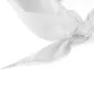 Pañuelo de cuello para eventos Pañuelo de cuello para eventos