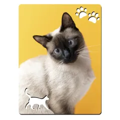 Portafotos - Gato / Madera MDF