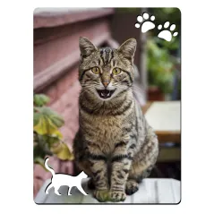 Portafotos de madera con detalles de gato personalizable con fotos, diseños, logotipos o textos a todo color.