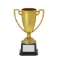 Trofeo copa dorada - Nexus Trofeo copa dorada - Nexus