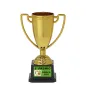 Trofeo copa dorada - Nexus Trofeo copa dorada - Nexus