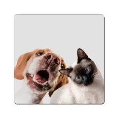 Imán cuadrado 10 / Madera MDF