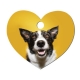 Placa chapa perro Mascota personalizada con foto, nombre y telefono