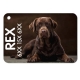 Placa chapa perro Mascota personalizada con foto, nombre y telefono